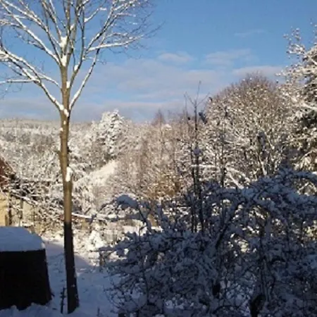 アパート Location Elfe Stosswihr